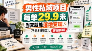男性私域项目，每单29.9米，当天就能落地变现【不是S粉项目】，详细拆解-聊项目