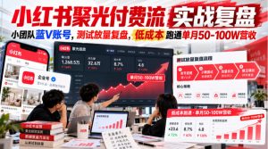 小红书聚光付费流实战复盘|小团队蓝V账号,测试放量复盘,低成本跑通单月50‑100W营收【文档】-聊项目