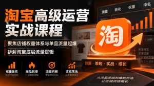淘宝高级运营实战课程,聚焦店铺权重体系与单品流量起爆,拆解淘宝底层流量逻辑-聊项目