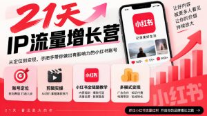21天IP流量增长营,小红书全链路教学,账号定位剪辑实操,多模式变现系统课-聊项目