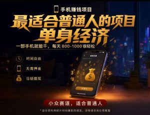 单身经济小众赛道，每天800-1000，一部手机就能干，最适合普通人的项目【揭秘】-聊项目