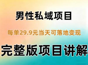 男性私域项目每单29.9,当天就能落地变现【不是S粉项目】详细拆解-聊项目