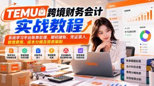 TEMU跨境财务会计实战教程：系统学习平台账单处理、期初建账、凭证录入、管理费用、成本分摊及报表编制-聊项目