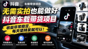 无需实拍也能做好抖音车载带货项目,收益非常稳定,每天坚持发就可以!-聊项目